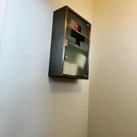 Chaleureux 3 Etoiles Apartment Diemeringen